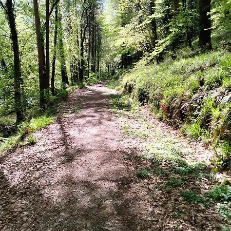 Larkfield House B&b, Ballycasheen Kerry V93 Wd51 3* 킬라니