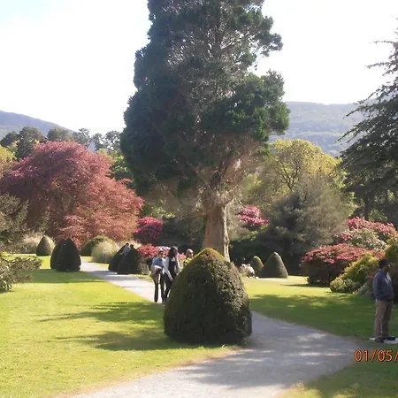 Oda ve Kahvaltı Larkfield House B&b, Ballycasheen Kerry V93 Wd51