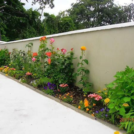 Larkfield House B&b, Ballycasheen Kerry V93 Wd51 B&B 킬라니