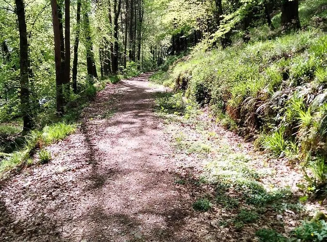 Larkfield House B&b, Ballycasheen Kerry V93 Wd51 3* Killarney