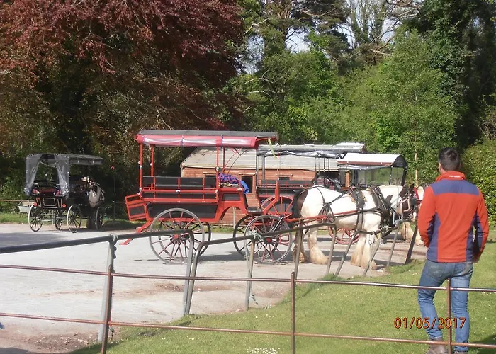 Larkfield House B&b, Ballycasheen Kerry V93 Wd51 Bed and Breakfast 3*