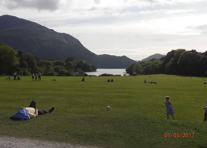 Larkfield House B&b, Ballycasheen Kerry V93 Wd51 Couette-café Killarney