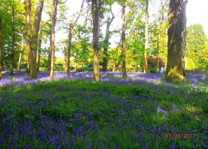 Alojamento de Acomodação e Pequeno-almoço Larkfield House B&b, Ballycasheen Kerry V93 Wd51 Killarney
