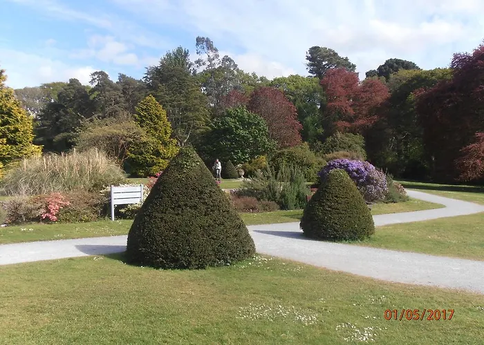 Couette-café Larkfield House B&b, Ballycasheen Kerry V93 Wd51 Killarney