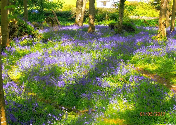 Larkfield House B&b, Ballycasheen Kerry V93 Wd51 3* Κιλάρνεϊ