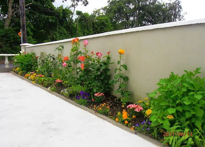 Larkfield House B&b, Ballycasheen Kerry V93 Wd51 Bed and Breakfast Κιλάρνεϊ