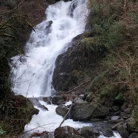 فندق مبيت وإفطار Larkfield House B&b, Ballycasheen Kerry V93 Wd51 3*