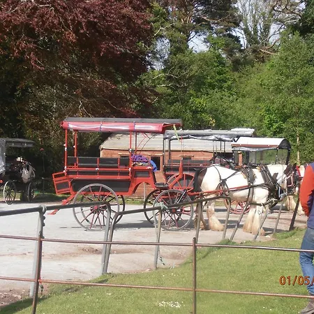 Larkfield House B&b, Ballycasheen Kerry V93 Wd51 住宿加早餐酒店 3*