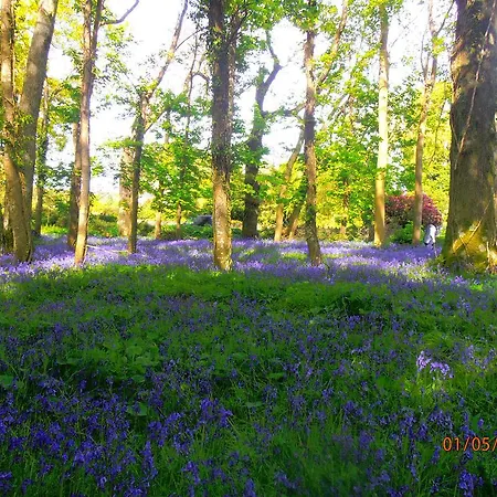 住宿加早餐酒店 Larkfield House B&b, Ballycasheen Kerry V93 Wd51 基拉尼