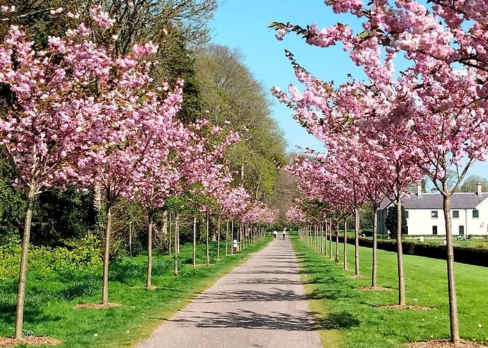 Larkfield House B&b, Ballycasheen Kerry V93 Wd51 קיל איירן