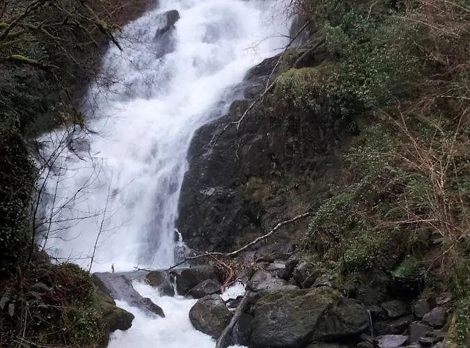 לינה וארוחת בוקר Larkfield House B&b, Ballycasheen Kerry V93 Wd51 3*