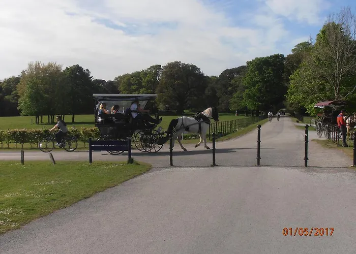 לינה וארוחת בוקר Larkfield House B&b, Ballycasheen Kerry V93 Wd51