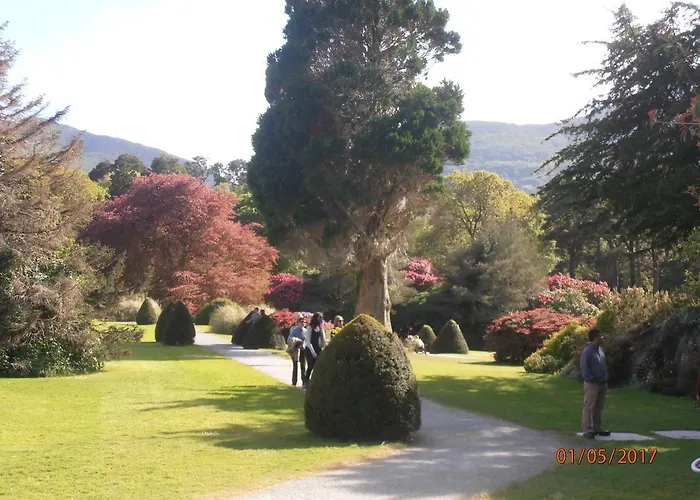 לינה וארוחת בוקר Larkfield House B&b, Ballycasheen Kerry V93 Wd51